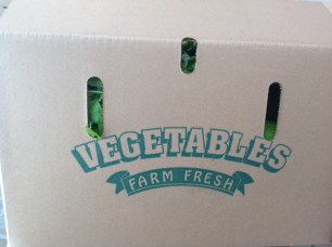 box of fresh organic vegetables