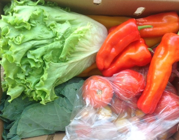box of fresh vegetables
