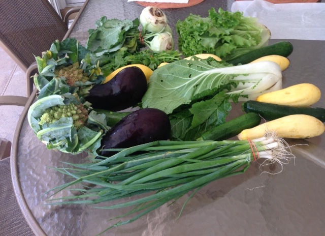 assortment of fresh vegetables including cucumbers, eggplants, green onions,greens, squash,turnips, and a zucchini.