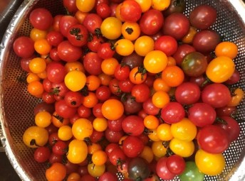 colander full of multicolored grape tomatoes