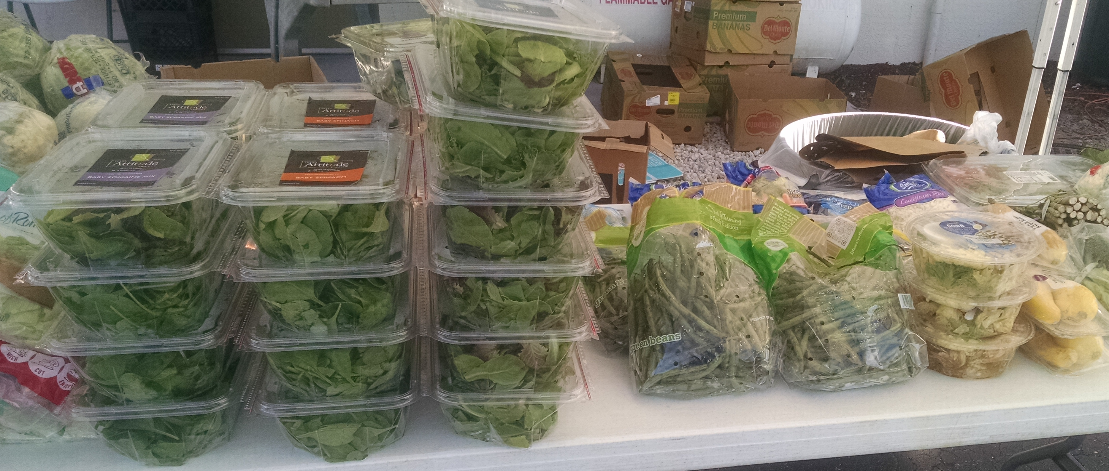 photo of lettuce, spinach and other fresh vegetables all packaged in plastic