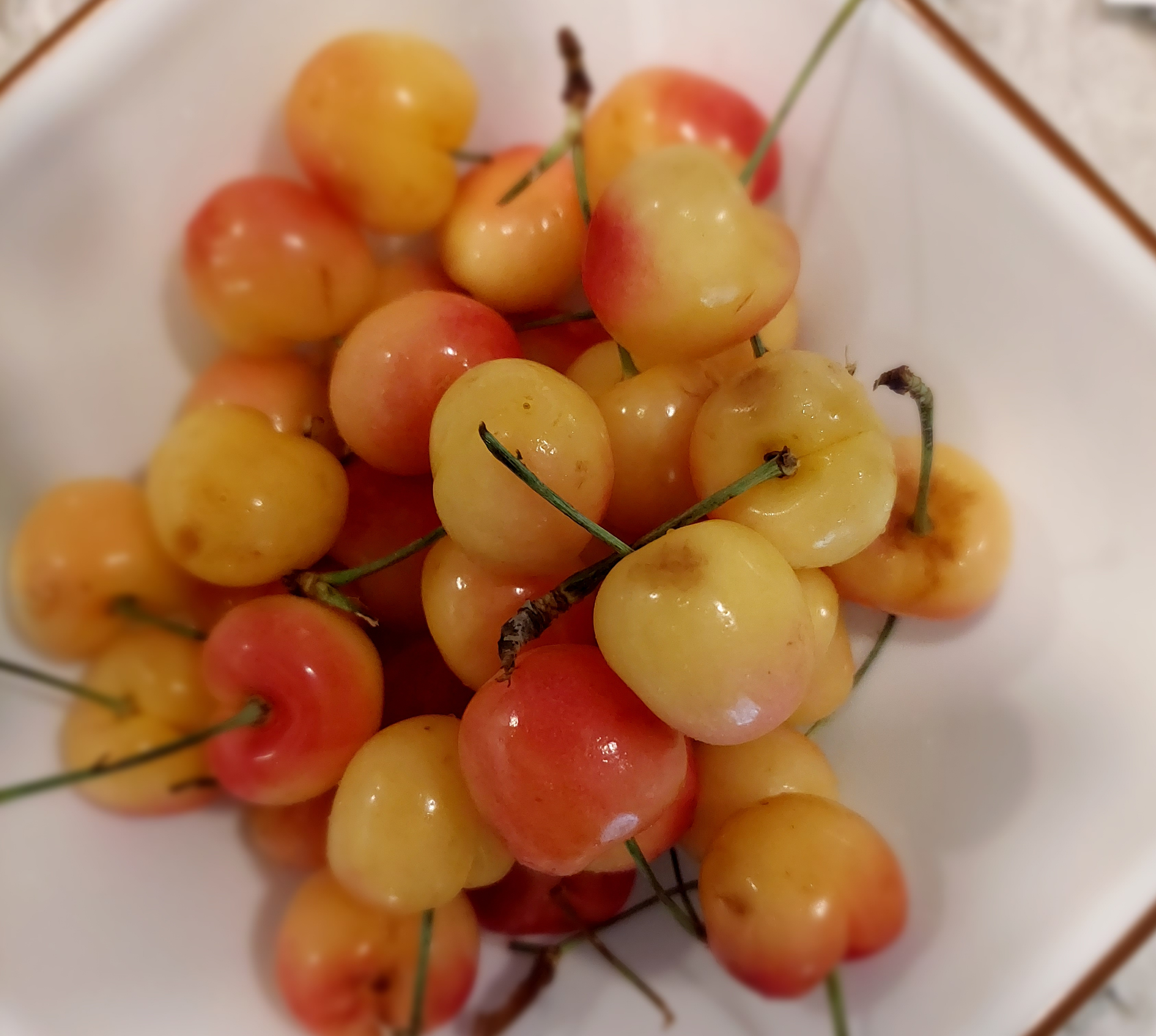bowl of red and yellow Ranier cherries