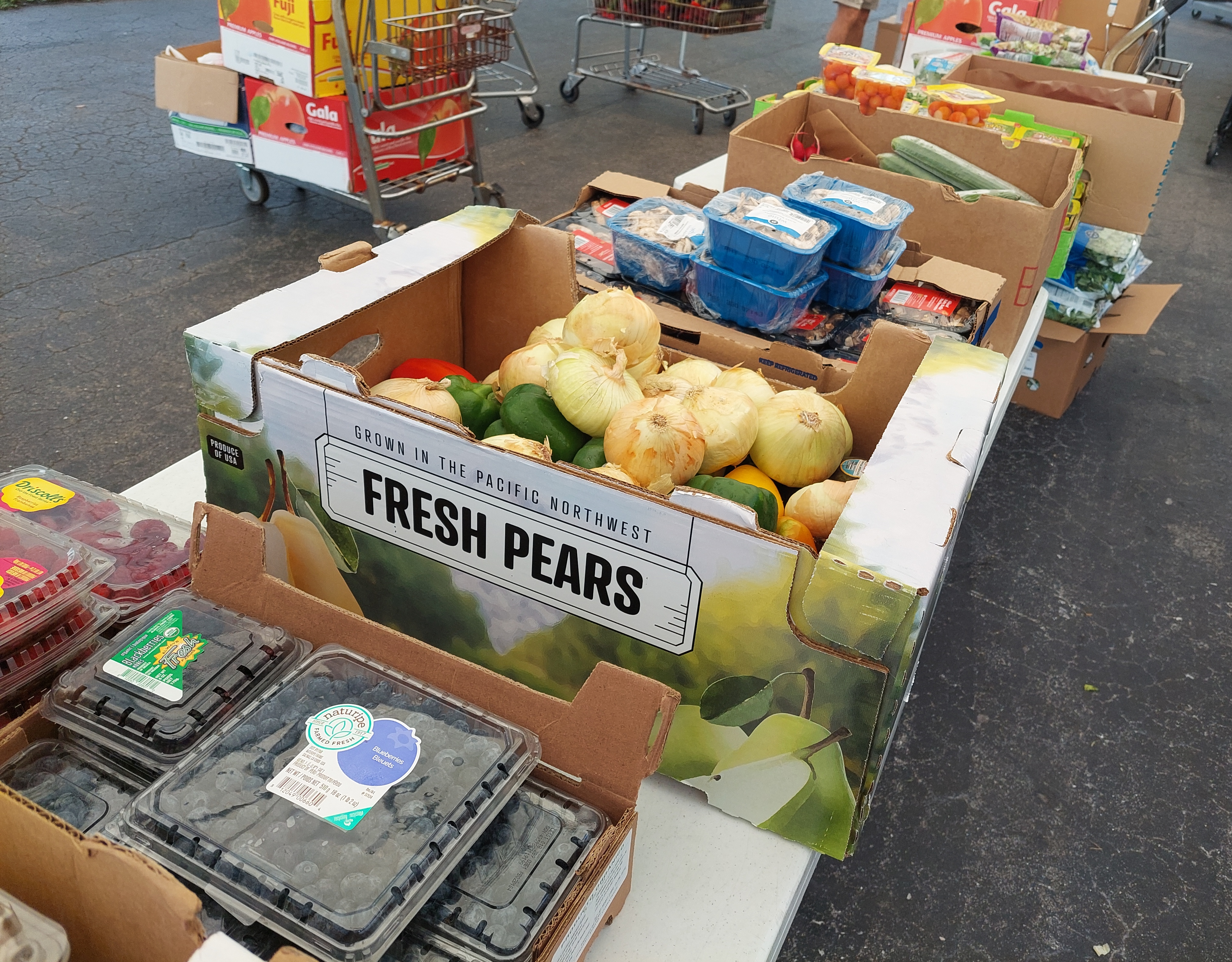 a row of fresh fruits such as strawberries and blueberries and vegetables including onions and peppers .