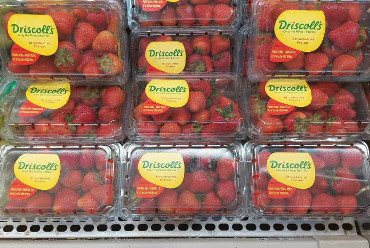 Strawberries on display in a supermarket.