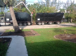 leaning palm tree in the front and loading hurricane debris in the background